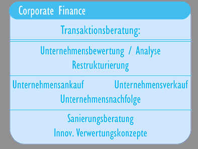 [Corporate Finance]